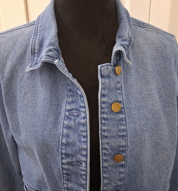 Blue Denim Jacket with Floral Embroidery        Size L - Picture 2 of 14